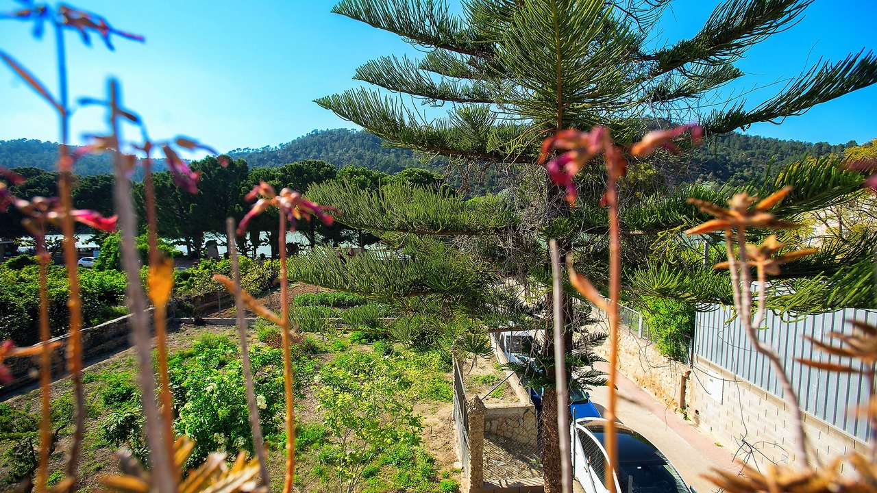Photo of Outdoor in Benifallet