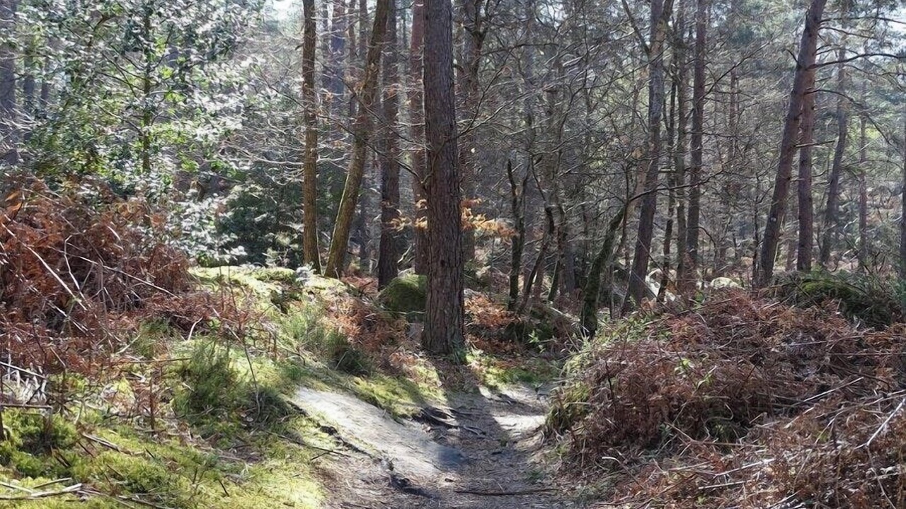 Photo of Others in Bois-le-Roi