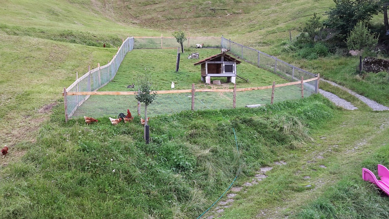 Photo of Outdoor in Fluehli