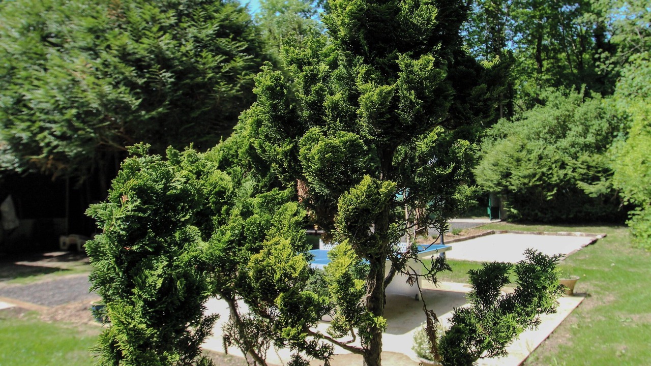 Photo of Outdoor in Pays de Fontainebleau