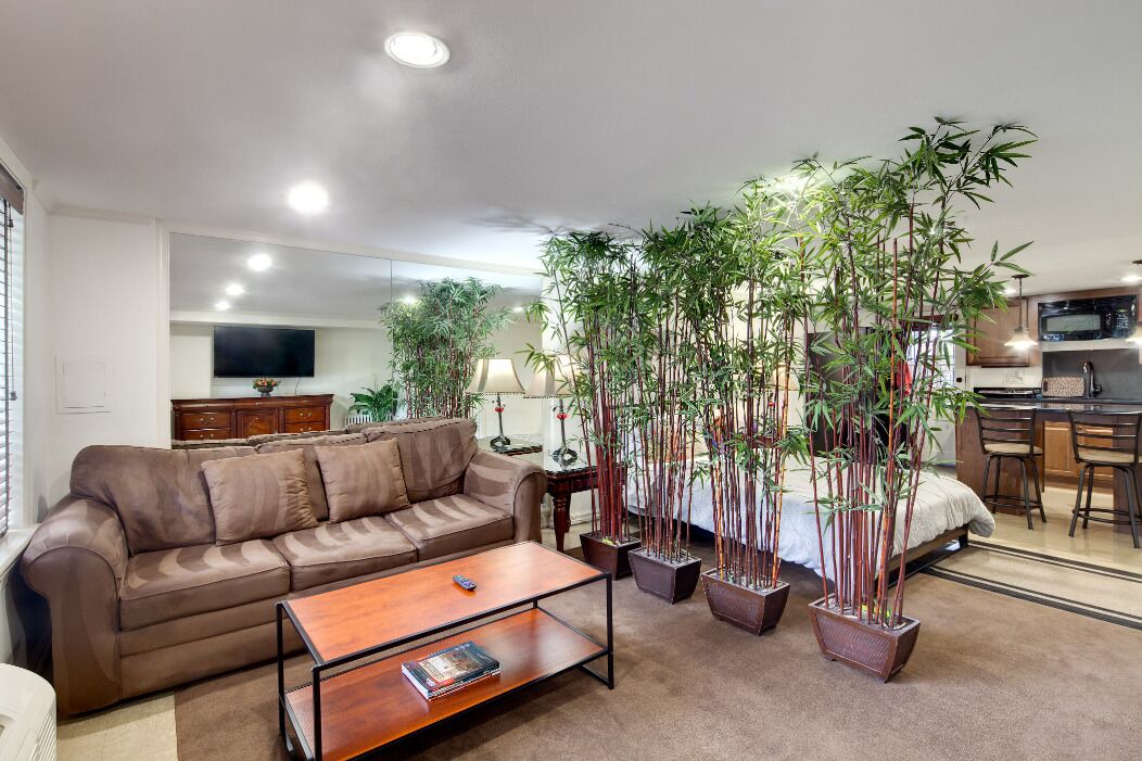 Photo of Livingroom in Old Town West