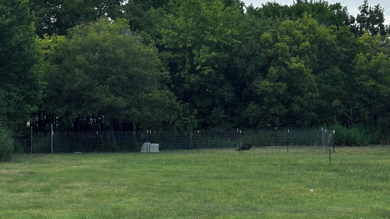 Photo of Others in Crowley
