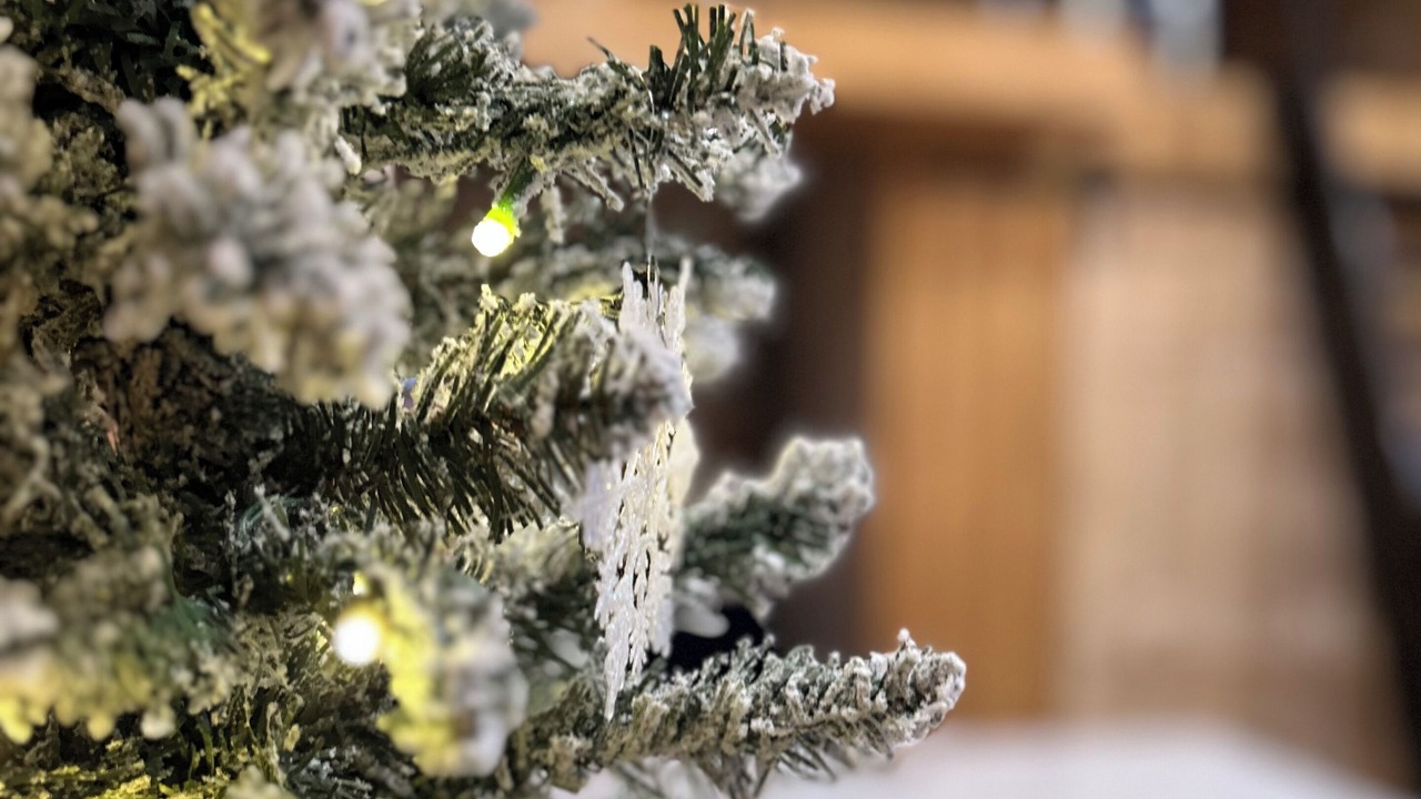 Photo of Others in Gloucester County