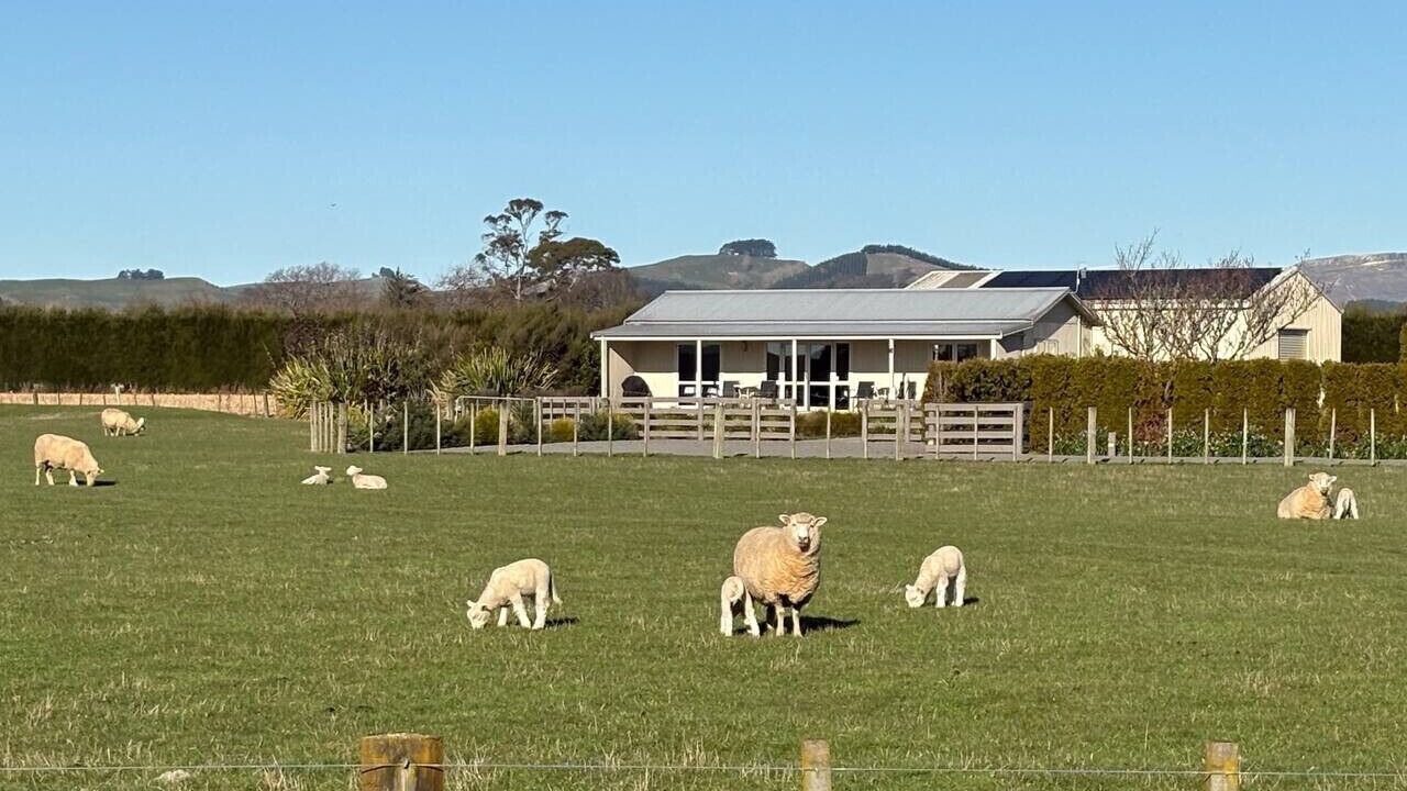 Photo of Outdoor in Havelock North