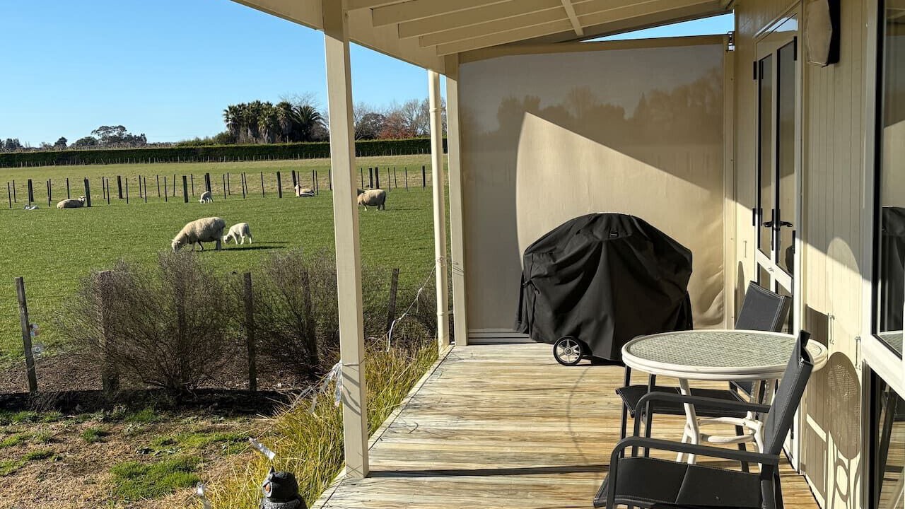 Photo of Outdoor in Havelock North