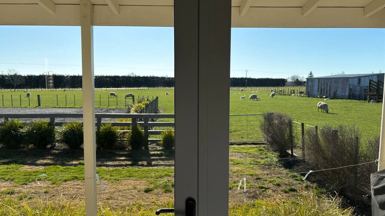 Photo of Others in Havelock North