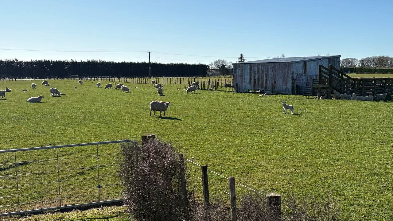 Photo of Others in Havelock North