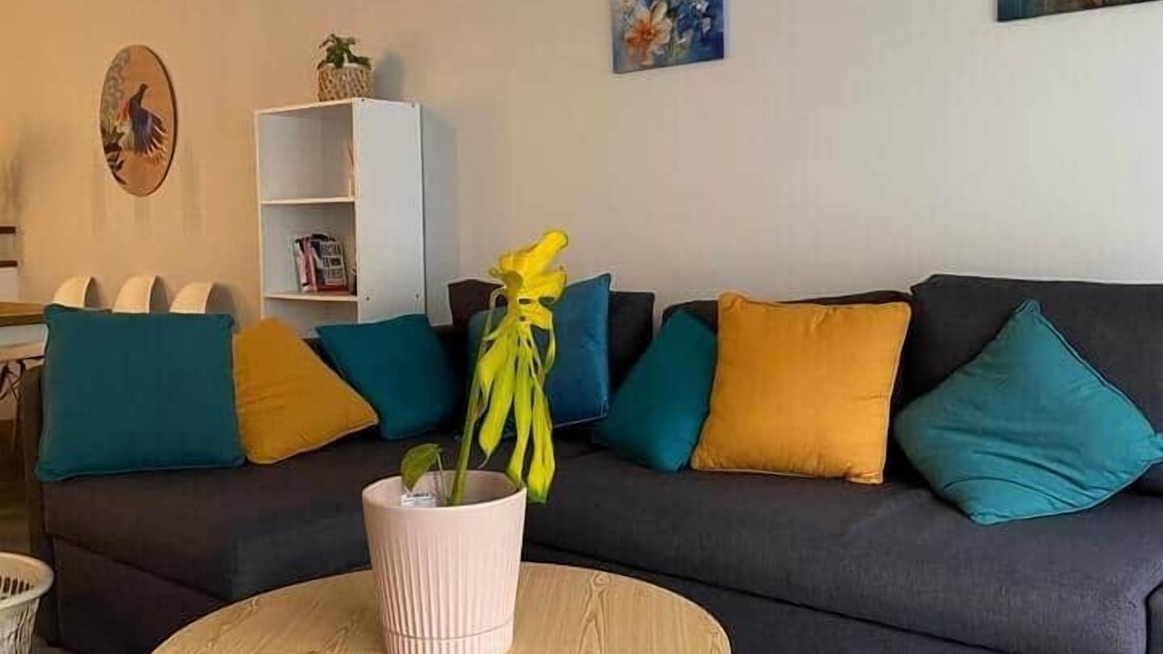 Photo of Others in Wellington