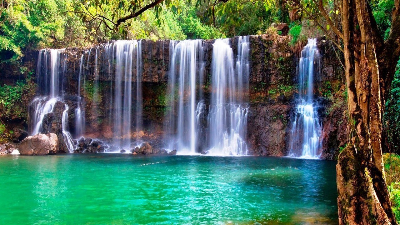 Photo of Others in Anahola