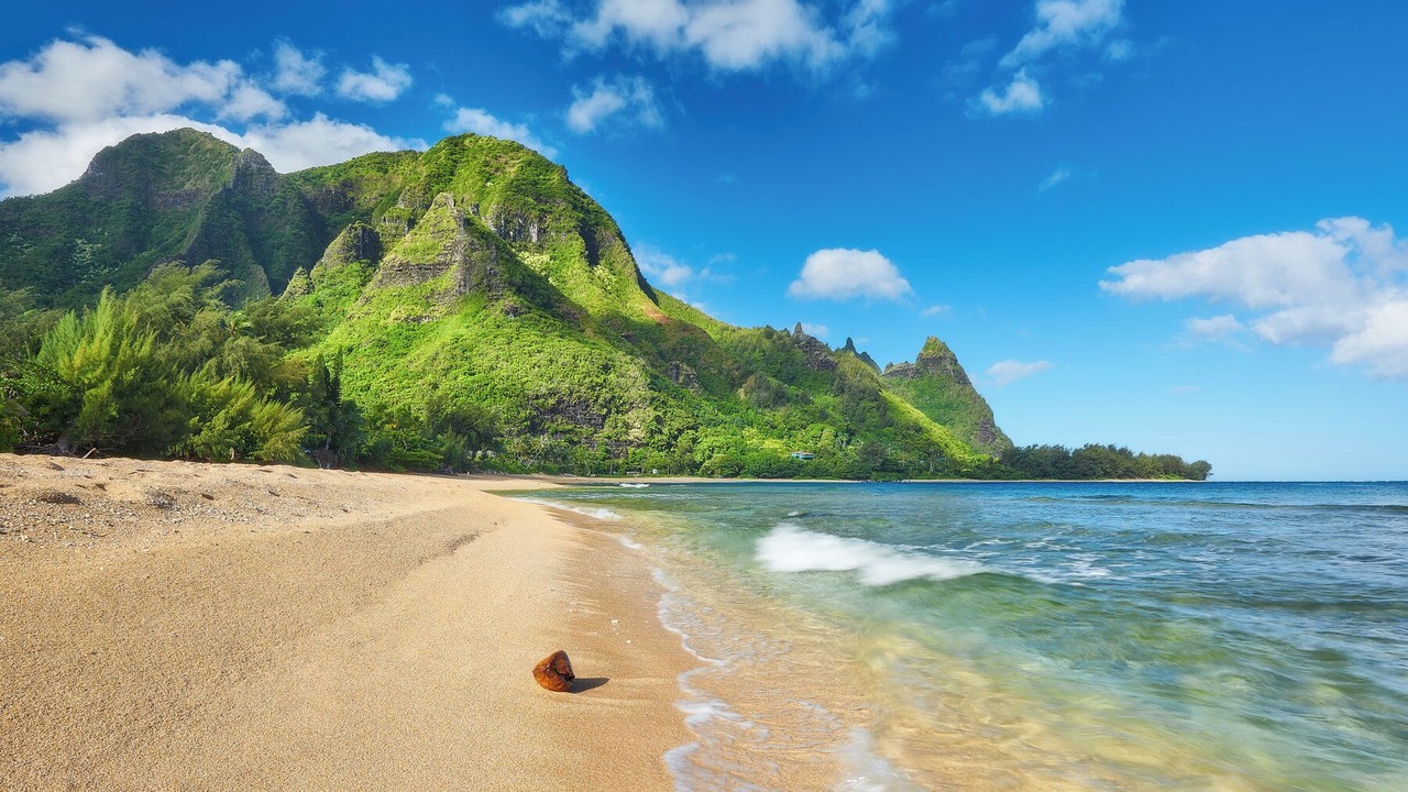 Photo of Others in Anahola