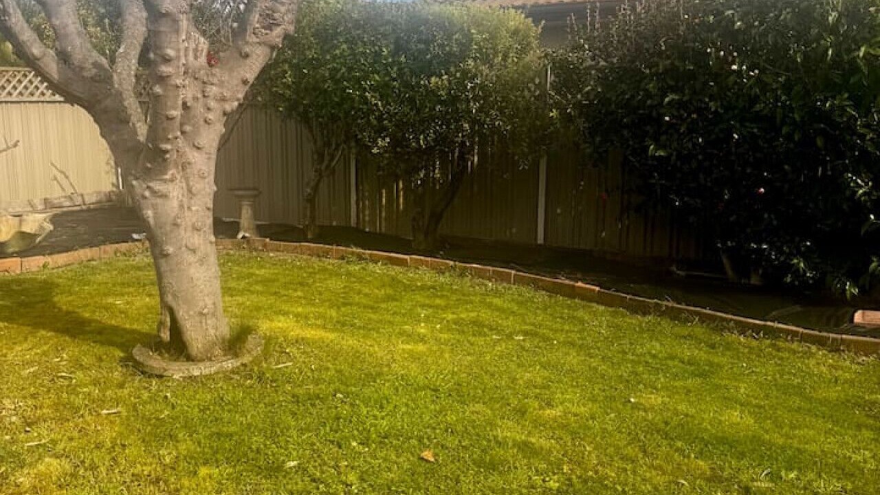 Photo of Outdoor in Taradale