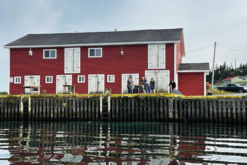 Photo of Others in New Harbour