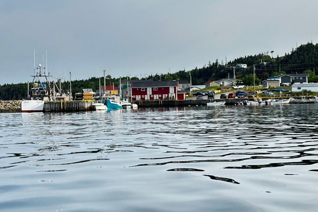 Photo of Others in New Harbour