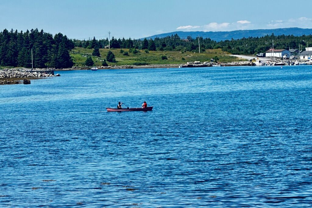 Photo of Others in New Harbour