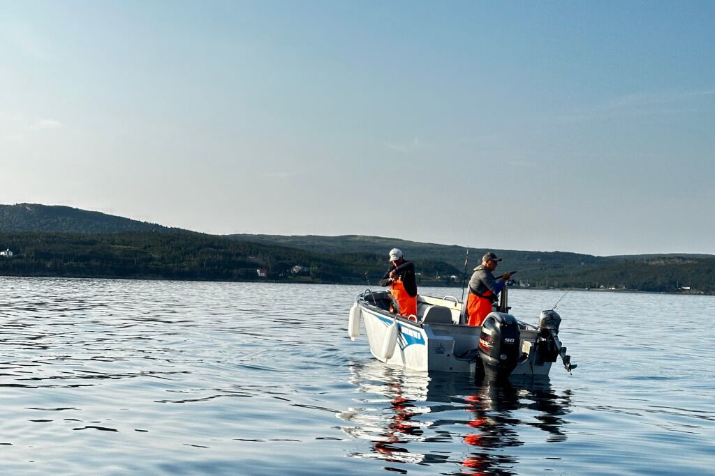 Photo of Others in New Harbour