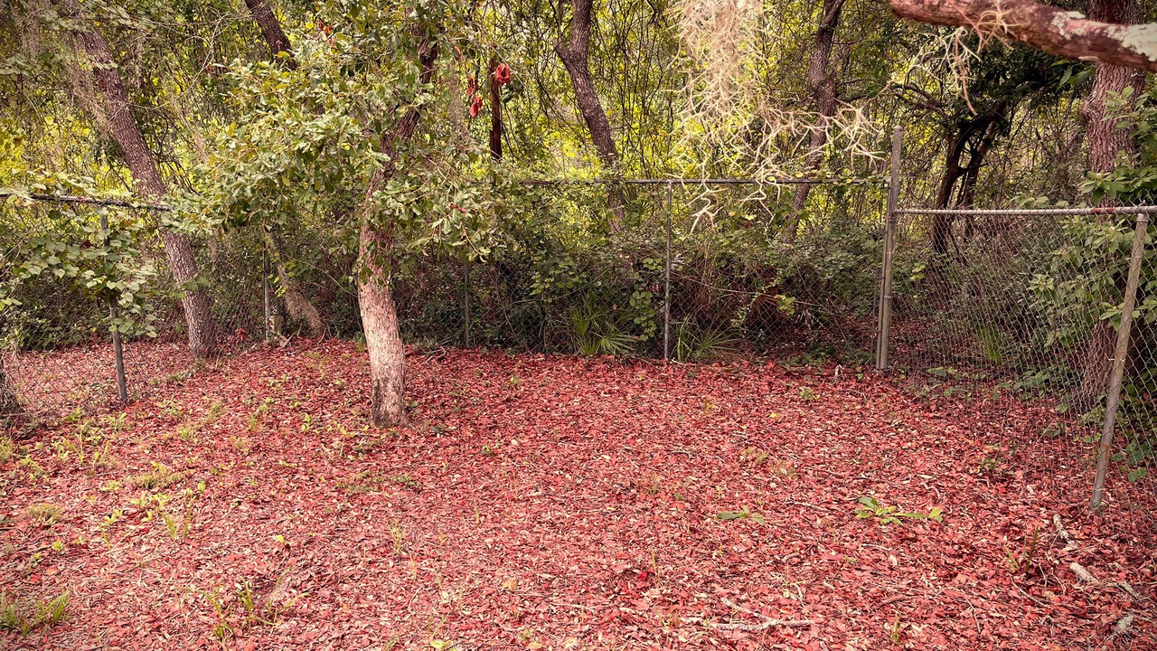 Photo of Outdoor in North Weeki Wachee