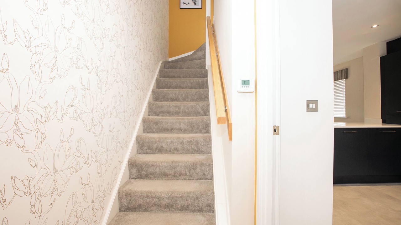 Photo of Others in Belle Vue