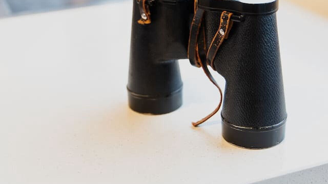 Photo of Others in Jan Juc