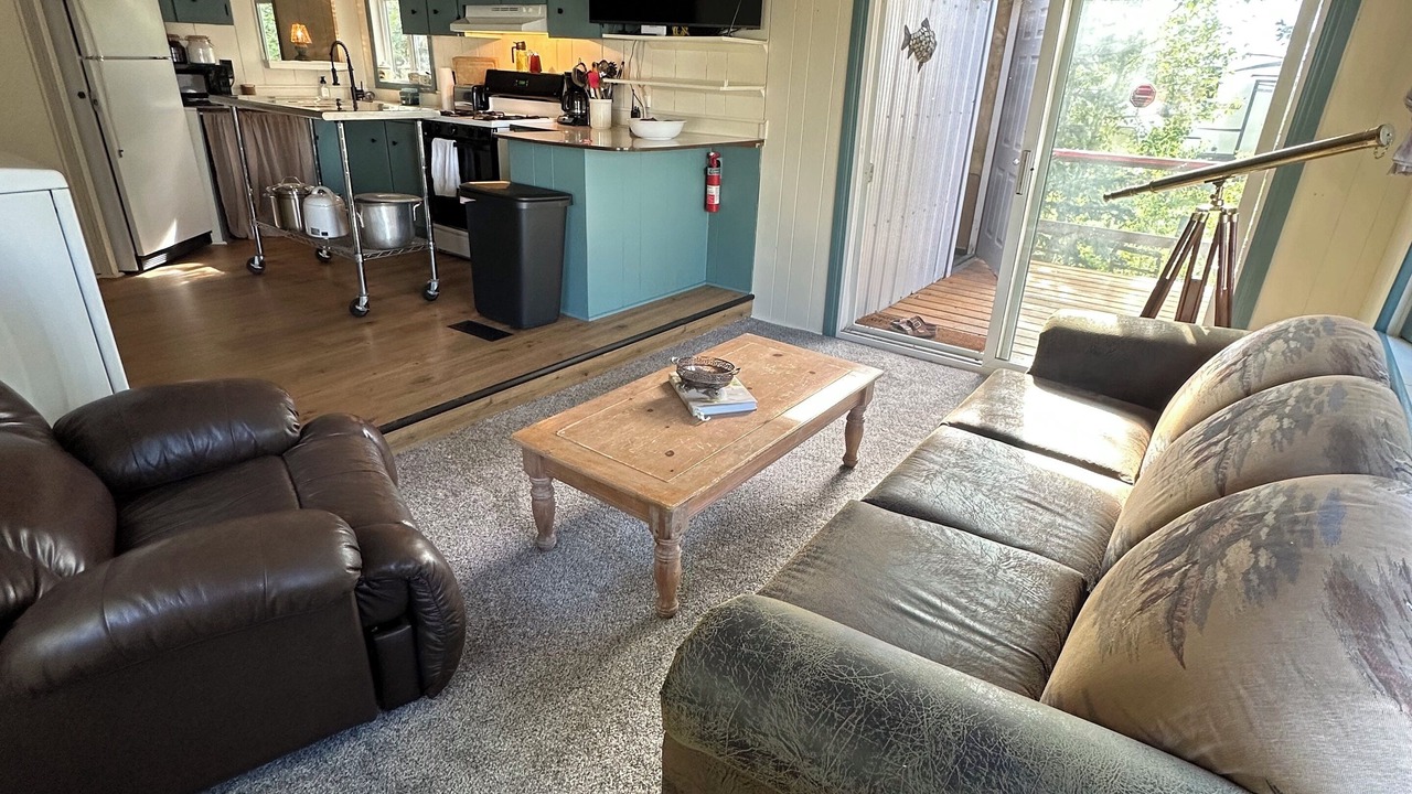 Photo of Livingroom in Babb