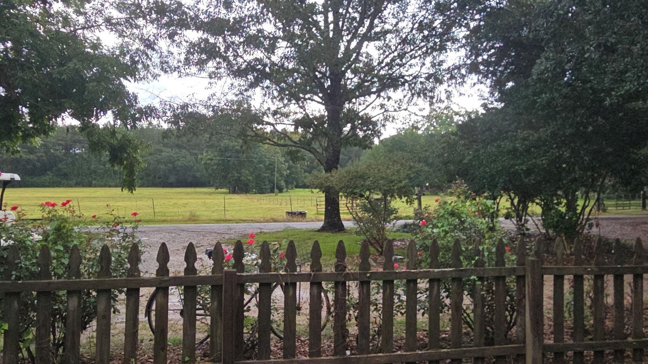 Photo of Outdoor in Hattiesburg
