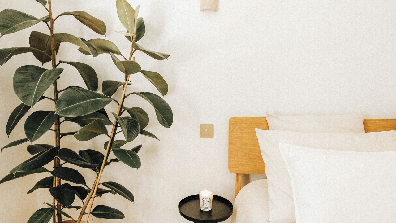 Photo of Bedroom in Levens