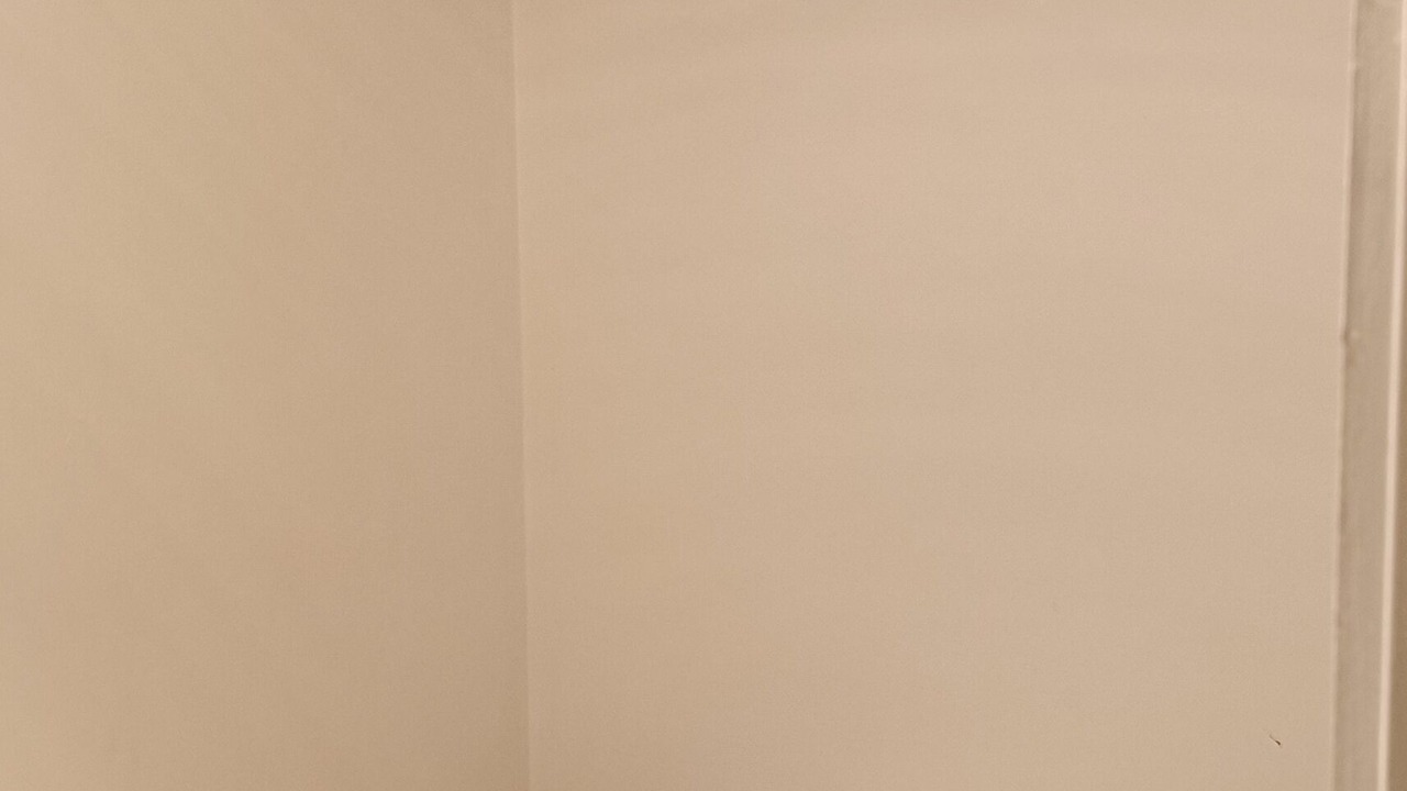 Photo of Others in Glen Eden