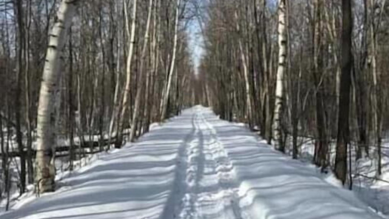 Photo of Others in Ellenburg Depot