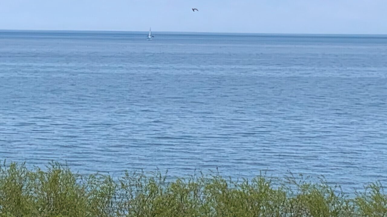 Photo of Others in West Irondequoit