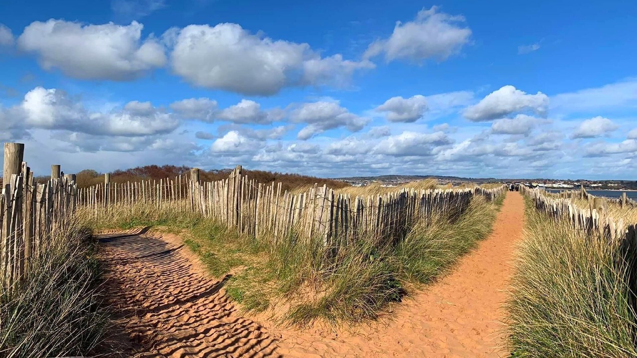 Photo of Others in Dawlish Warren