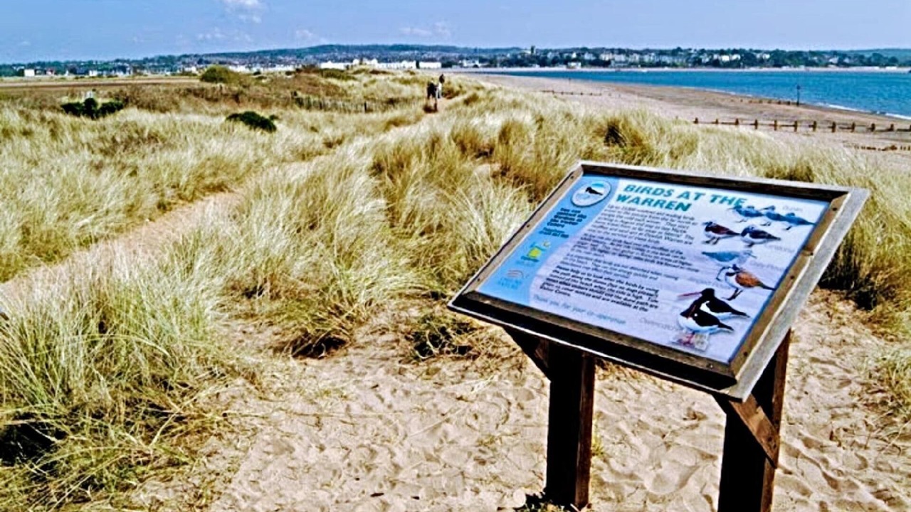 Photo of Others in Dawlish Warren