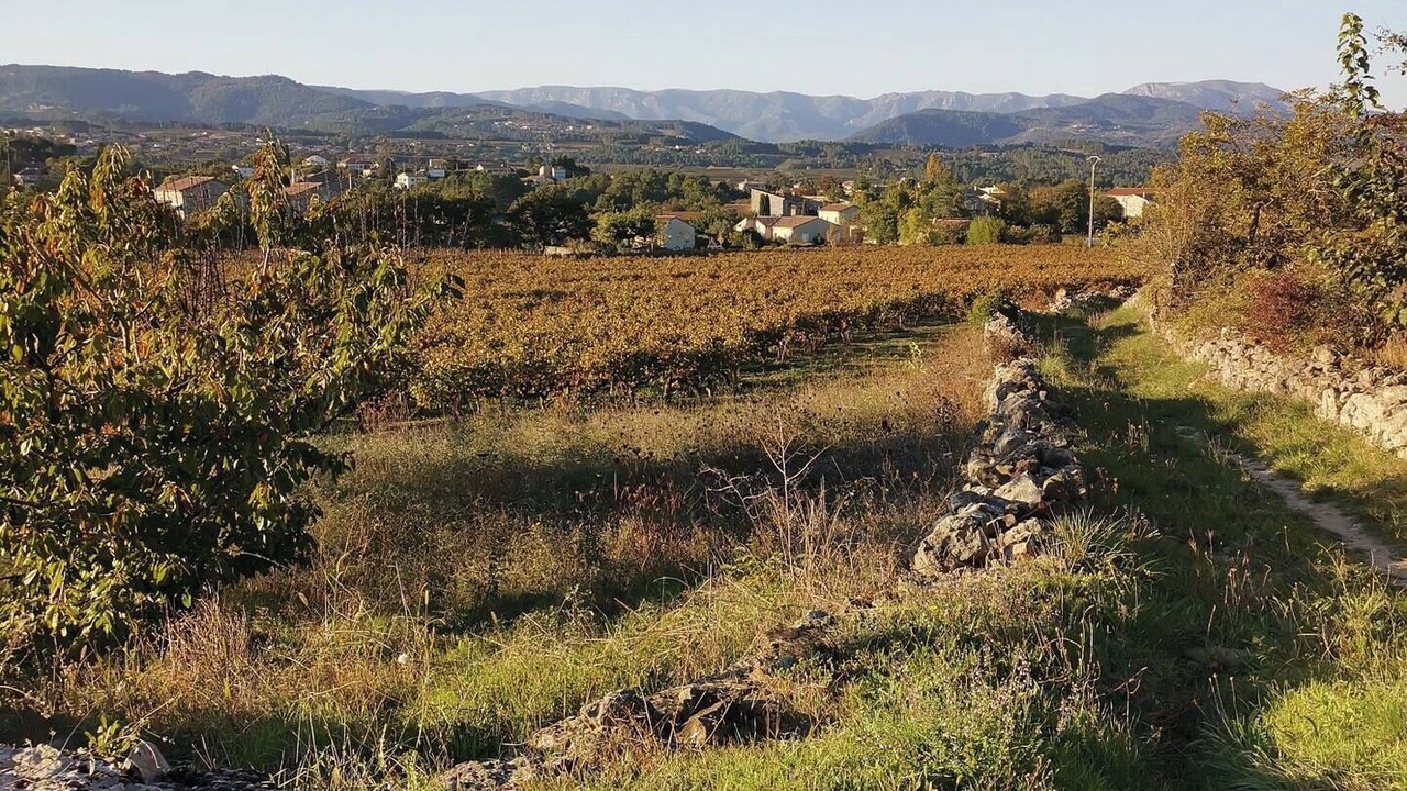 Photo of Others in Lablachere