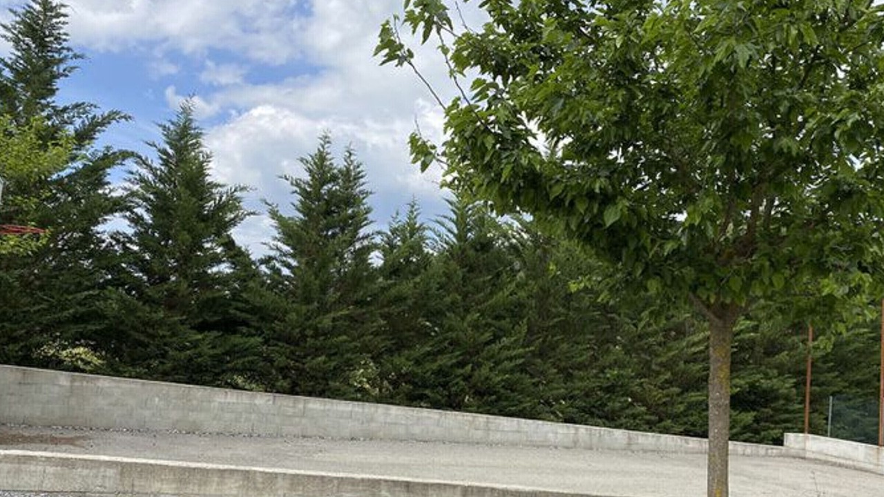 Photo of Others in Saint-Maurice-d'Ibie