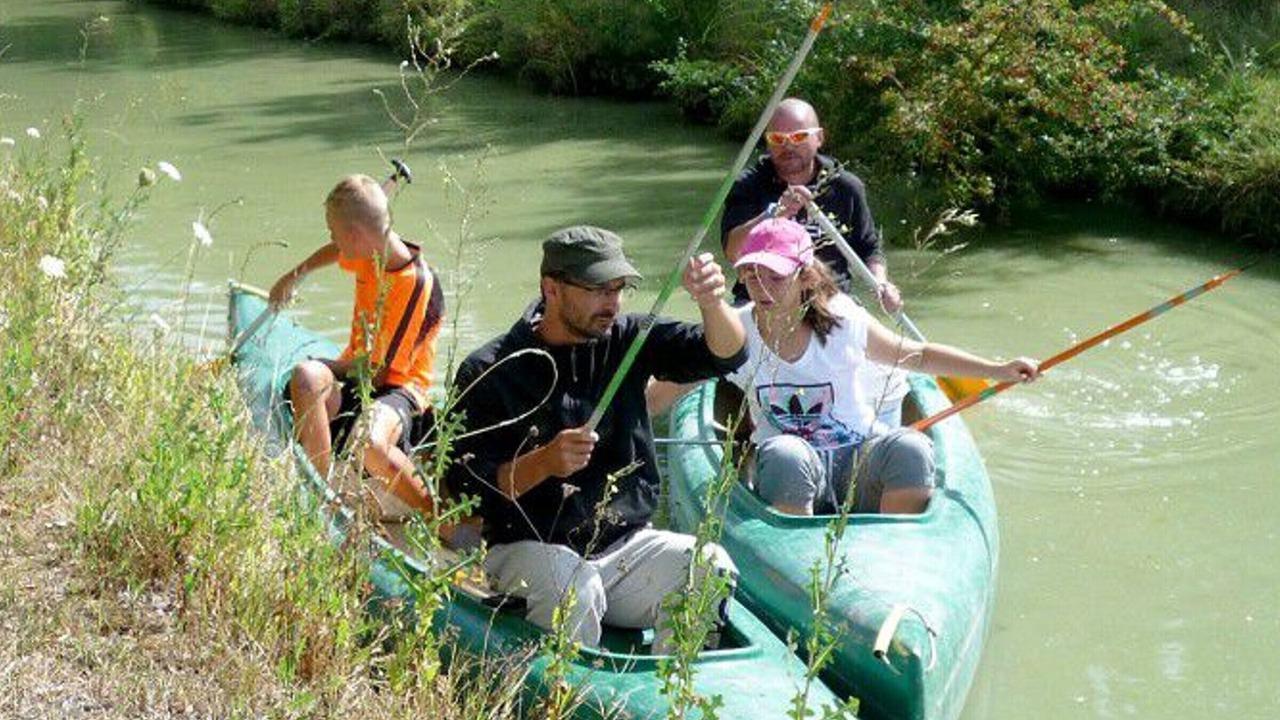 Photo of Others in Chaille-les-Marais