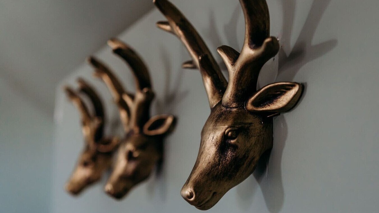 Photo of Others in Huberdeau