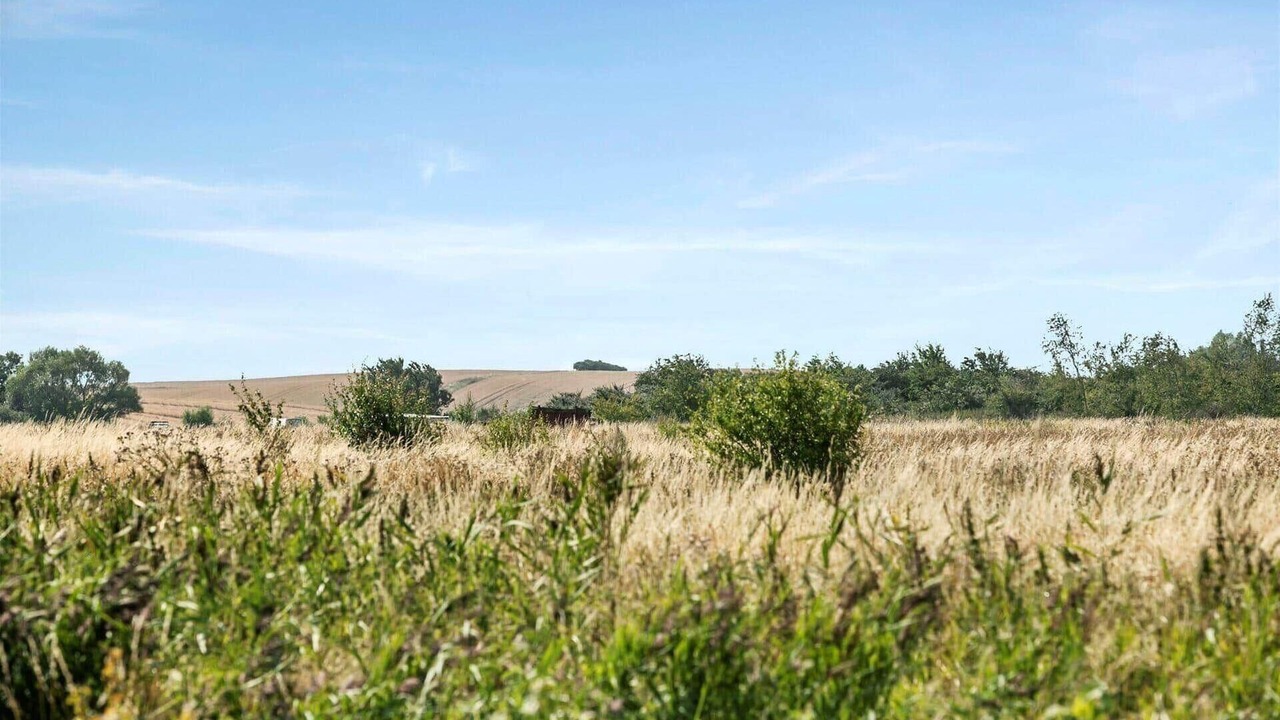 Photo of Others in Reersø