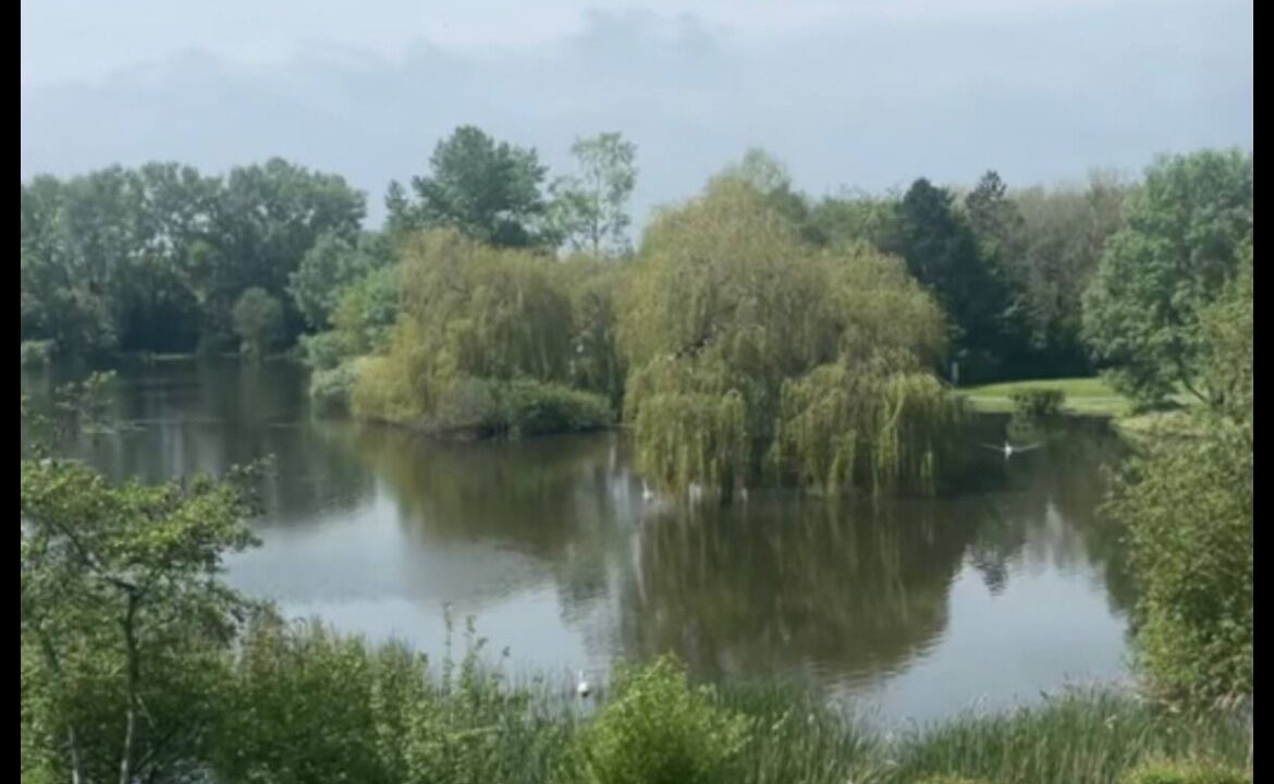 Photo of Others in Aylesbury