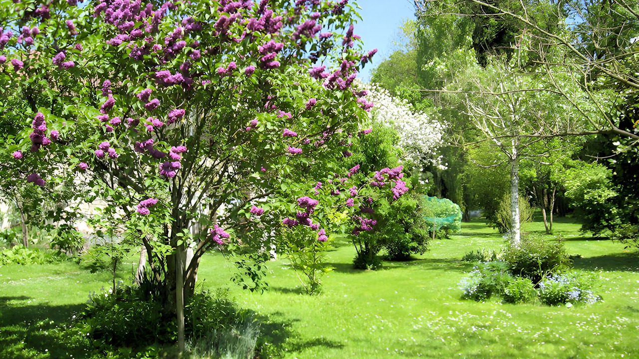 Photo of Outdoor in Panazol