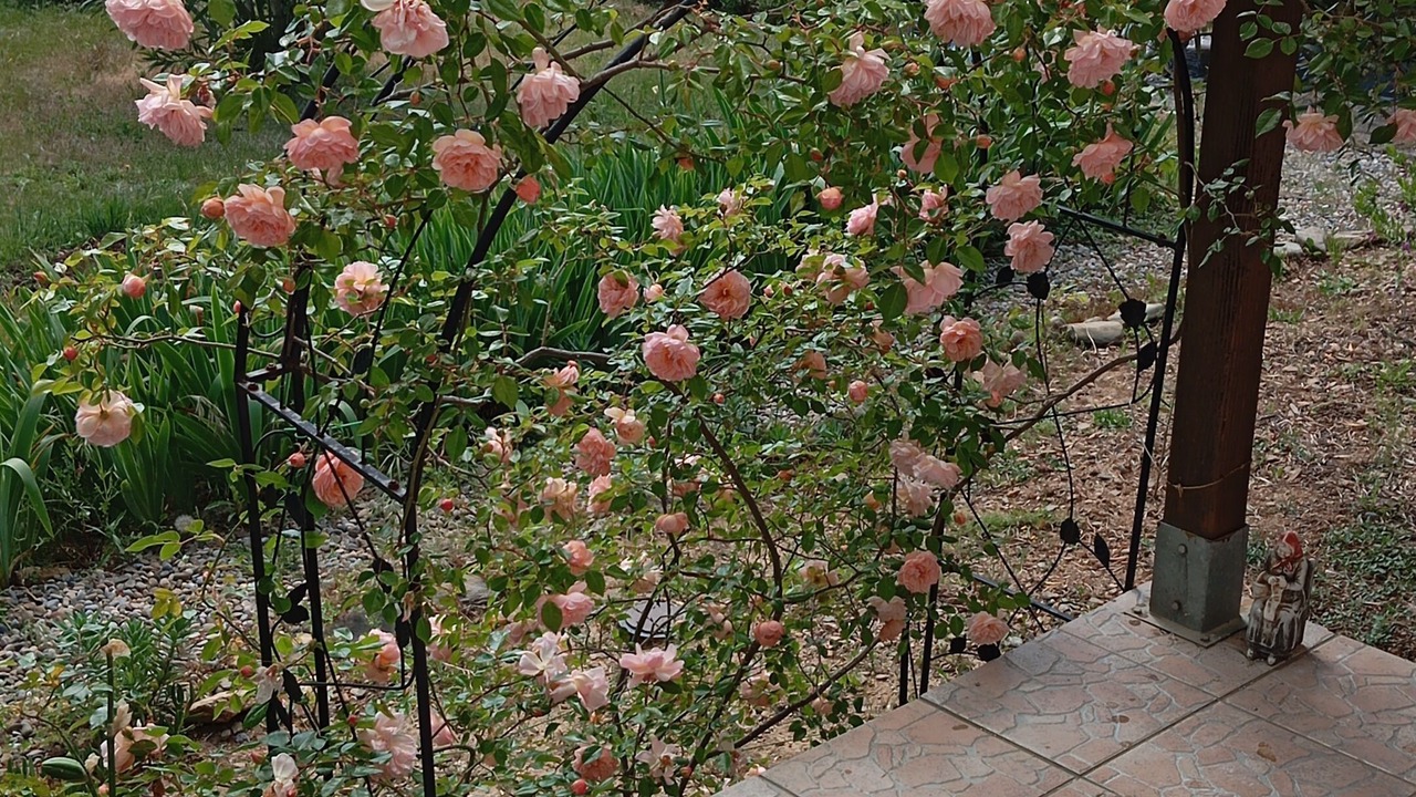 Photo of Outdoor in Rieux-Minervois