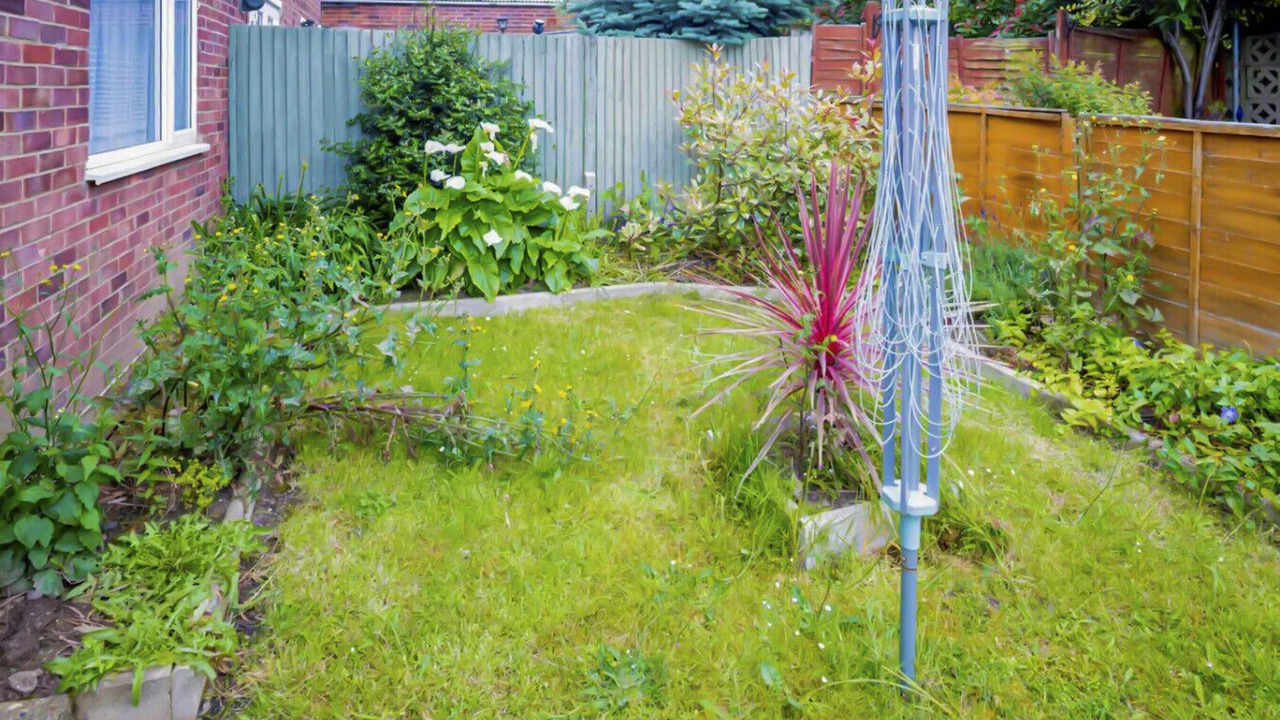 Photo of Outdoor in Belvedere