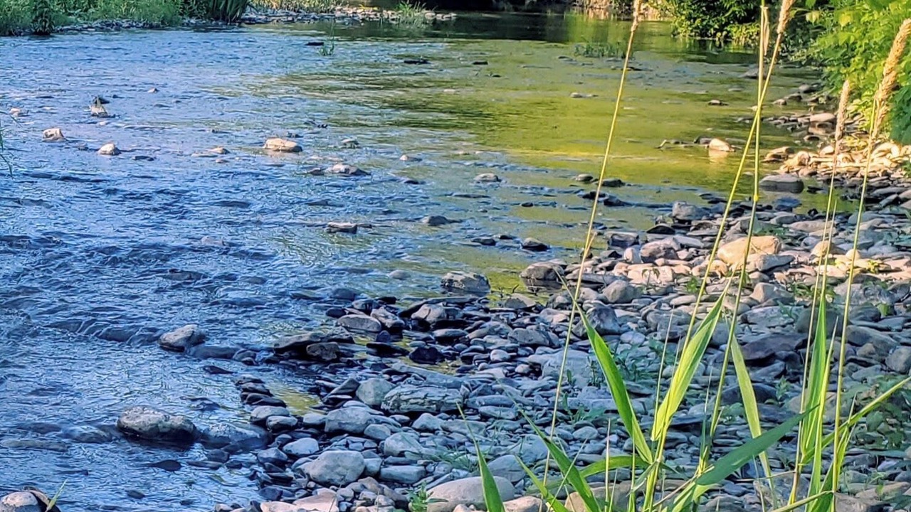 Photo of Others in Cherry Valley