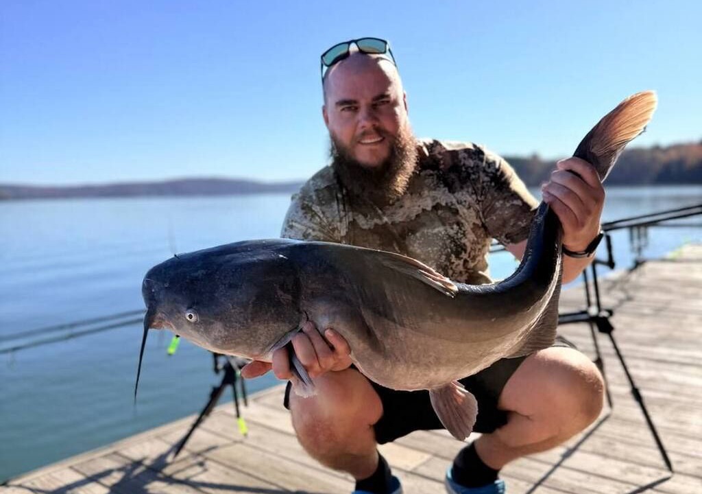 Photo of Others in Spring City