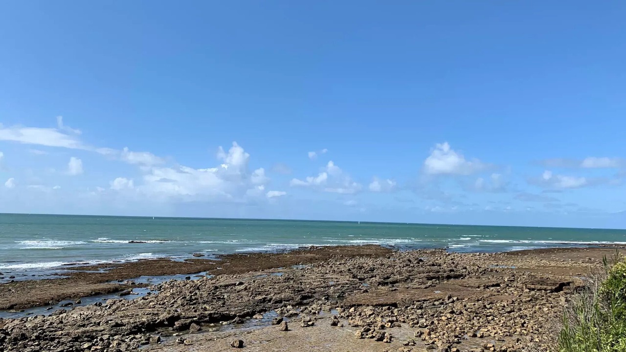 Photo of Others in Jard-sur-Mer