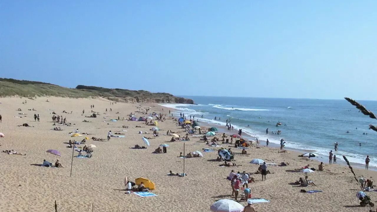 Photo of Others in Jard-sur-Mer