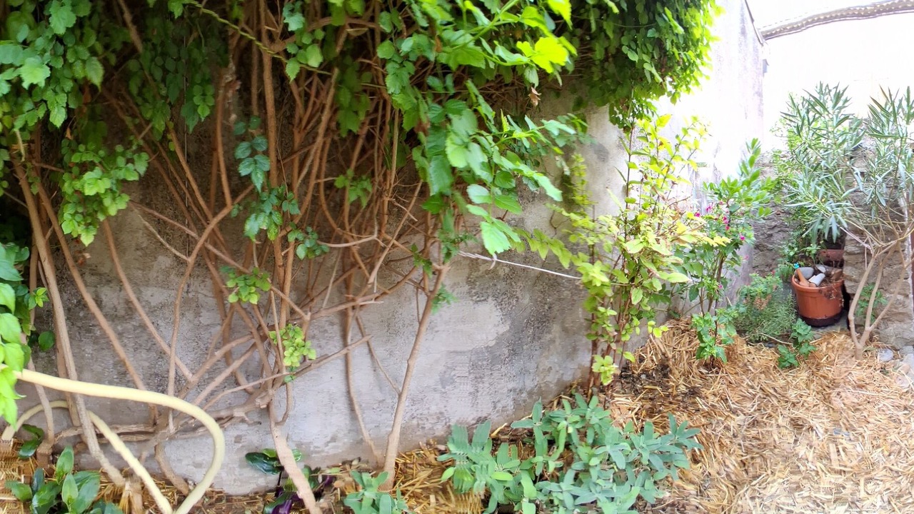 Photo of Outdoor in Villalier