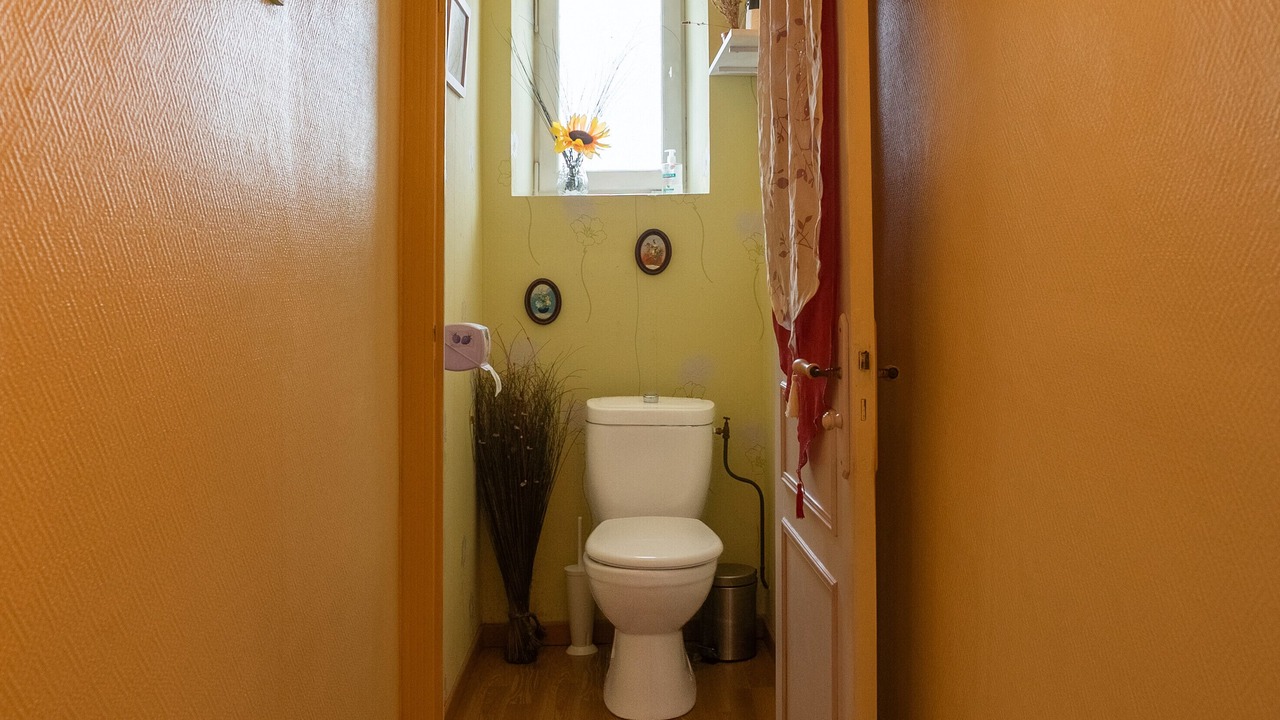 Photo of Bathroom in Lauraguel