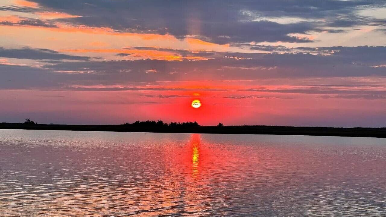 Photo of Others in Slaughter Beach