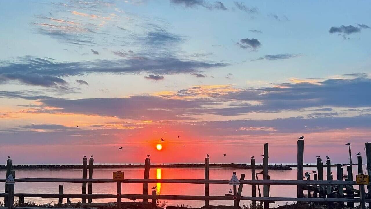 Photo of Others in Slaughter Beach