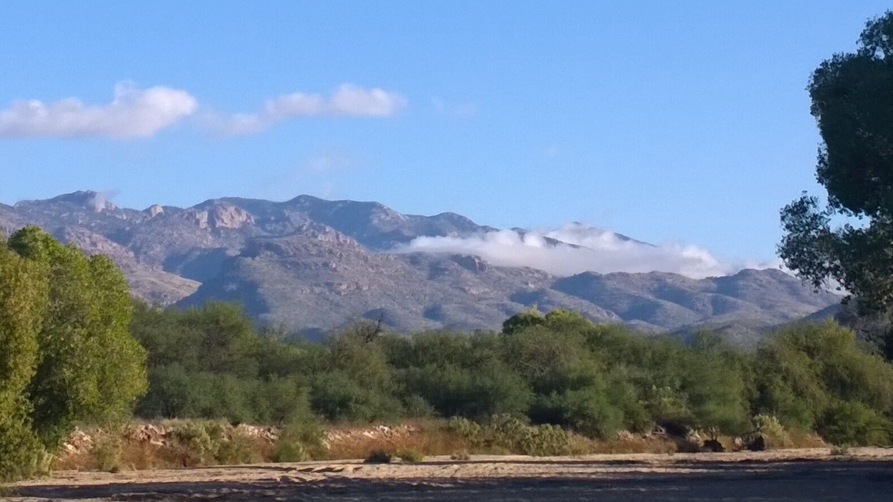 Photo of Others in Tanque Verde