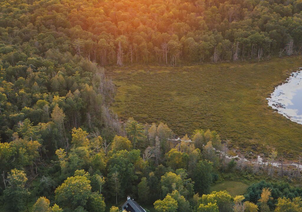 Photo of Others in Narrowsburg
