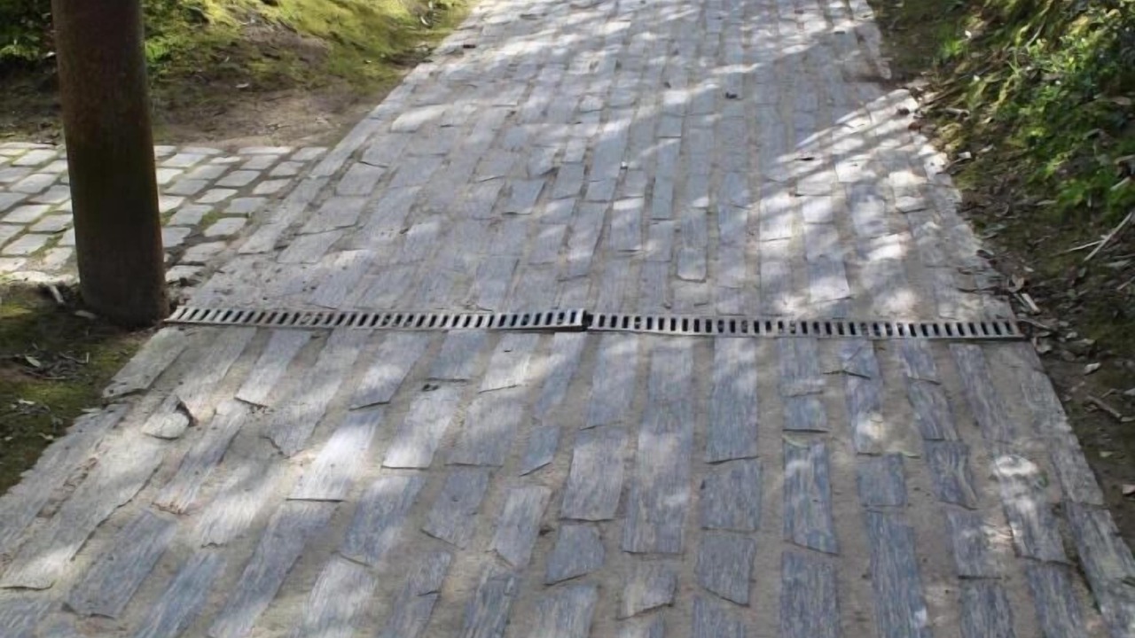 Photo of Others in Carentoir